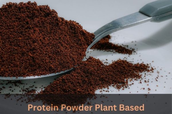 protein powder plant based